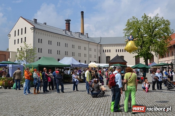 Zdjęcie w galerii na portalu naszraciborz.pl: Drugi zamkowy jarmark za nami. Nie dopisała tylko pogoda wiadomości z regionu