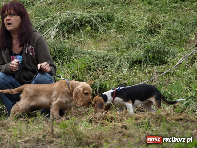 Zdjęcie w galerii na portalu naszraciborz.pl: Rekordowe X Pływadło wiadomości z regionu