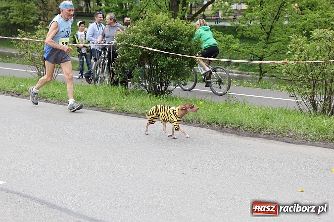 Zdjęcie w galerii na portalu naszraciborz.pl: Mieszkańcy powiatu na zawodach w Cieszynie wiadomości z regionu