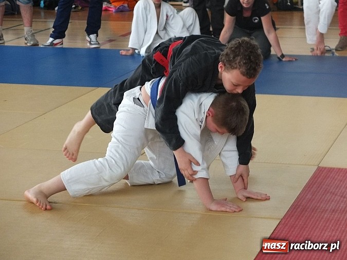 Zdjęcie w galerii na portalu naszraciborz.pl: Cztery medale Łamatorów w Katowicach wiadomości z regionu