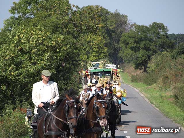 Zdjęcie w galerii na portalu naszraciborz.pl: Lamborghini na dożynkach wiadomości z regionu
