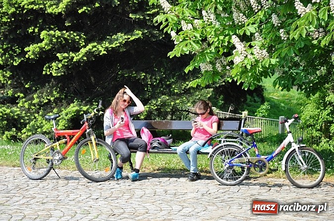 Zdjęcie w galerii na portalu naszraciborz.pl: Wiarusy lewicy pod pomnikiem Matki Polki wiadomości z regionu