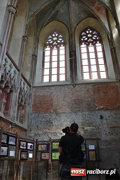 Zdjęcie w galerii na portalu naszraciborz.pl: Zamek Piastowski już wkrótce na antenie Polsat News  wiadomości z regionu