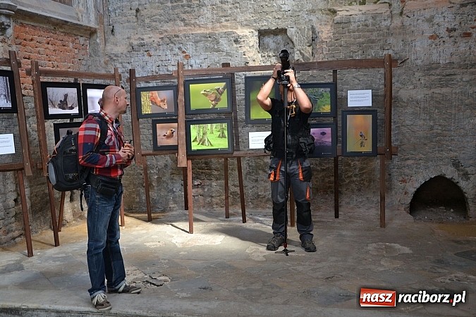 Zdjęcie w galerii na portalu naszraciborz.pl: Zamek Piastowski już wkrótce na antenie Polsat News  wiadomości z regionu