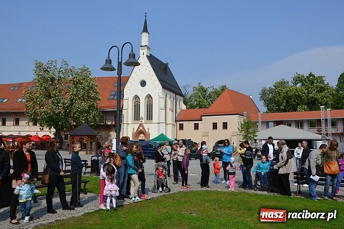 Zdjęcie w galerii na portalu naszraciborz.pl: 10 lat Polski w UE. Piknik ze Strażą Graniczną na Zamku Piastowskim wiadomości z regionu