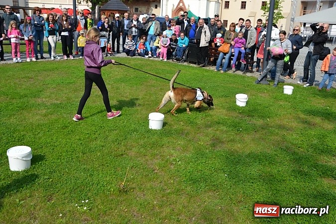 Zdjęcie w galerii na portalu naszraciborz.pl: 10 lat Polski w UE. Piknik ze Strażą Graniczną na Zamku Piastowskim wiadomości z regionu