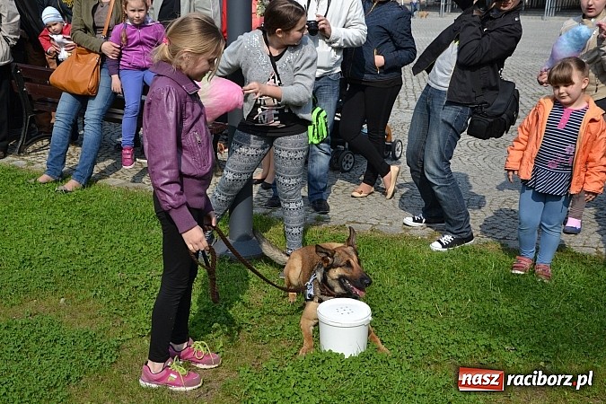 Zdjęcie w galerii na portalu naszraciborz.pl: 10 lat Polski w UE. Piknik ze Strażą Graniczną na Zamku Piastowskim wiadomości z regionu