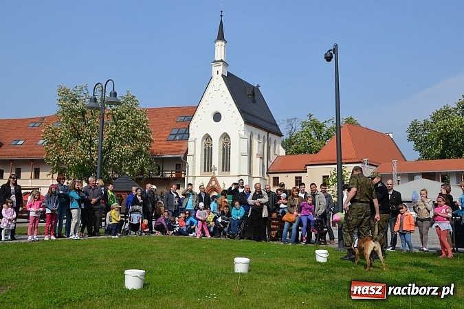 Zdjęcie w galerii na portalu naszraciborz.pl: 10 lat Polski w UE. Piknik ze Strażą Graniczną na Zamku Piastowskim wiadomości z regionu