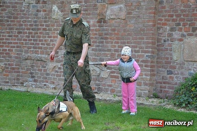 Zdjęcie w galerii na portalu naszraciborz.pl: 10 lat Polski w UE. Piknik ze Strażą Graniczną na Zamku Piastowskim wiadomości z regionu
