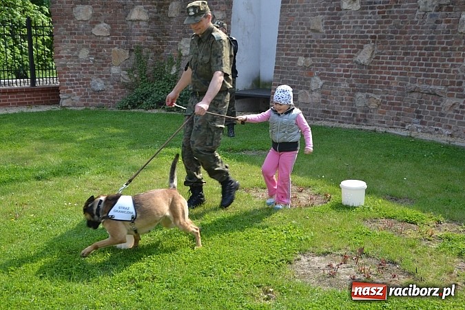 Zdjęcie w galerii na portalu naszraciborz.pl: 10 lat Polski w UE. Piknik ze Strażą Graniczną na Zamku Piastowskim wiadomości z regionu