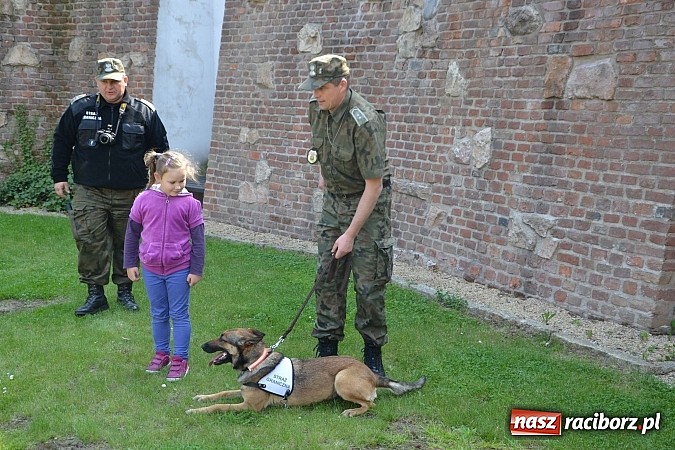 Zdjęcie w galerii na portalu naszraciborz.pl: 10 lat Polski w UE. Piknik ze Strażą Graniczną na Zamku Piastowskim wiadomości z regionu