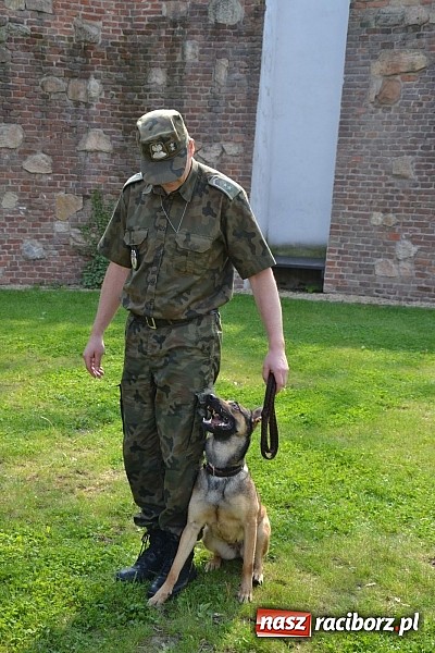 Zdjęcie w galerii na portalu naszraciborz.pl: 10 lat Polski w UE. Piknik ze Strażą Graniczną na Zamku Piastowskim wiadomości z regionu