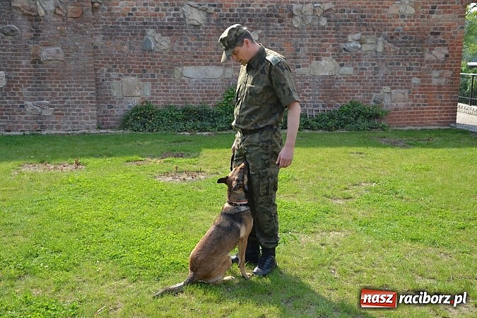 Zdjęcie w galerii na portalu naszraciborz.pl: 10 lat Polski w UE. Piknik ze Strażą Graniczną na Zamku Piastowskim wiadomości z regionu