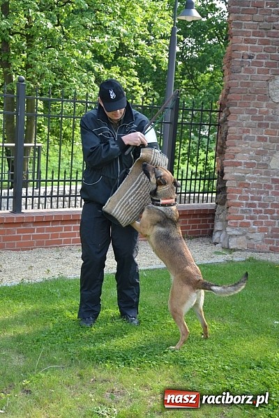 Zdjęcie w galerii na portalu naszraciborz.pl: 10 lat Polski w UE. Piknik ze Strażą Graniczną na Zamku Piastowskim wiadomości z regionu