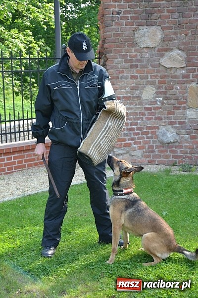 Zdjęcie w galerii na portalu naszraciborz.pl: 10 lat Polski w UE. Piknik ze Strażą Graniczną na Zamku Piastowskim wiadomości z regionu