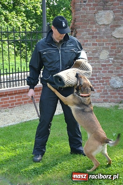 Zdjęcie w galerii na portalu naszraciborz.pl: 10 lat Polski w UE. Piknik ze Strażą Graniczną na Zamku Piastowskim wiadomości z regionu