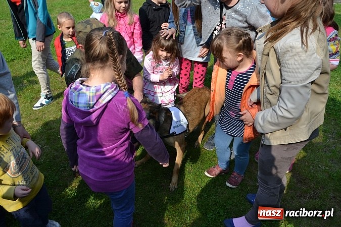Zdjęcie w galerii na portalu naszraciborz.pl: 10 lat Polski w UE. Piknik ze Strażą Graniczną na Zamku Piastowskim wiadomości z regionu