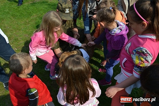 Zdjęcie w galerii na portalu naszraciborz.pl: 10 lat Polski w UE. Piknik ze Strażą Graniczną na Zamku Piastowskim wiadomości z regionu