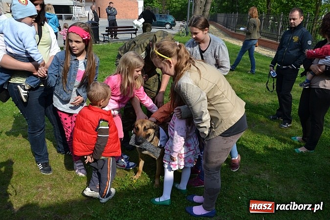 Zdjęcie w galerii na portalu naszraciborz.pl: 10 lat Polski w UE. Piknik ze Strażą Graniczną na Zamku Piastowskim wiadomości z regionu