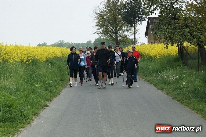 Zdjęcie w galerii na portalu naszraciborz.pl: Nordic walking na szlakach pogranicza wiadomości z regionu