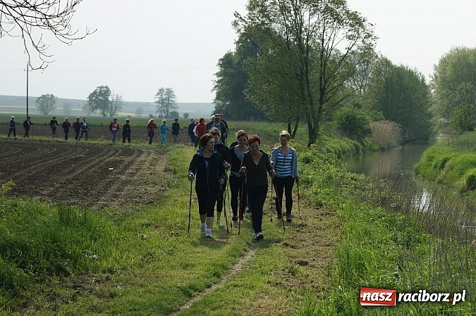Zdjęcie w galerii na portalu naszraciborz.pl: Nordic walking na szlakach pogranicza wiadomości z regionu