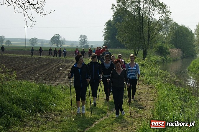 Zdjęcie w galerii na portalu naszraciborz.pl: Nordic walking na szlakach pogranicza wiadomości z regionu