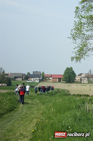 Zdjęcie w galerii na portalu naszraciborz.pl: Nordic walking na szlakach pogranicza wiadomości z regionu