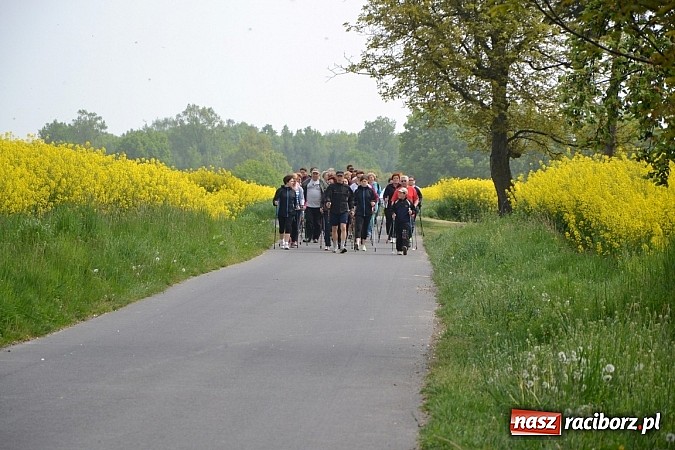 Zdjęcie w galerii na portalu naszraciborz.pl: Nordic walking na szlakach pogranicza wiadomości z regionu