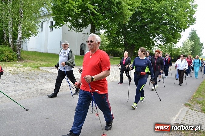Zdjęcie w galerii na portalu naszraciborz.pl: Nordic walking na szlakach pogranicza wiadomości z regionu
