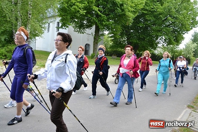 Zdjęcie w galerii na portalu naszraciborz.pl: Nordic walking na szlakach pogranicza wiadomości z regionu