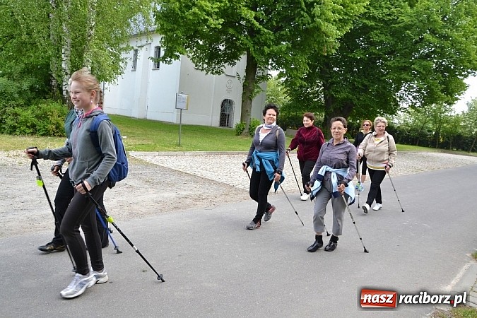 Zdjęcie w galerii na portalu naszraciborz.pl: Nordic walking na szlakach pogranicza wiadomości z regionu