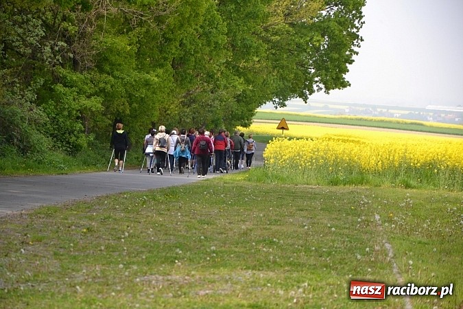 Zdjęcie w galerii na portalu naszraciborz.pl: Nordic walking na szlakach pogranicza wiadomości z regionu