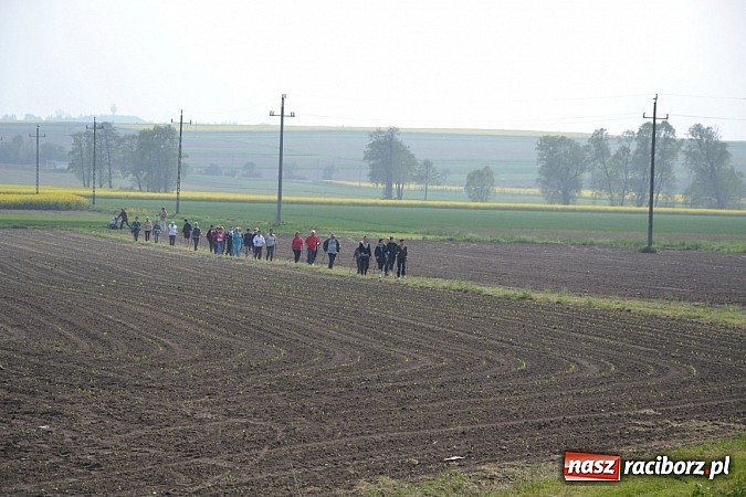 Zdjęcie w galerii na portalu naszraciborz.pl: Nordic walking na szlakach pogranicza wiadomości z regionu