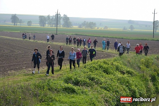 Zdjęcie w galerii na portalu naszraciborz.pl: Nordic walking na szlakach pogranicza wiadomości z regionu