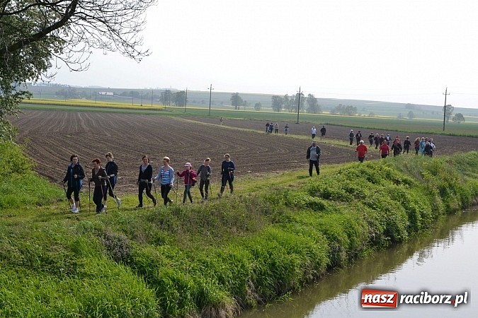 Zdjęcie w galerii na portalu naszraciborz.pl: Nordic walking na szlakach pogranicza wiadomości z regionu