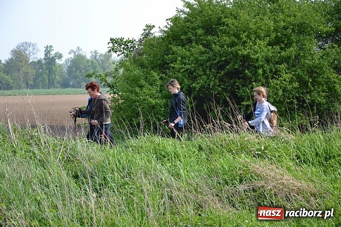 Zdjęcie w galerii na portalu naszraciborz.pl: Nordic walking na szlakach pogranicza wiadomości z regionu