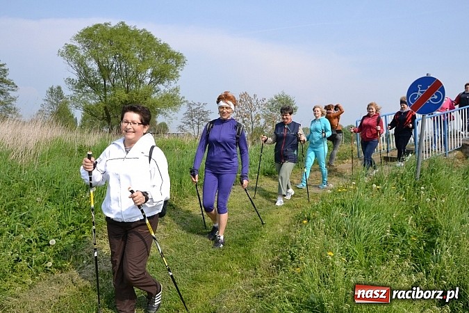 Zdjęcie w galerii na portalu naszraciborz.pl: Nordic walking na szlakach pogranicza wiadomości z regionu