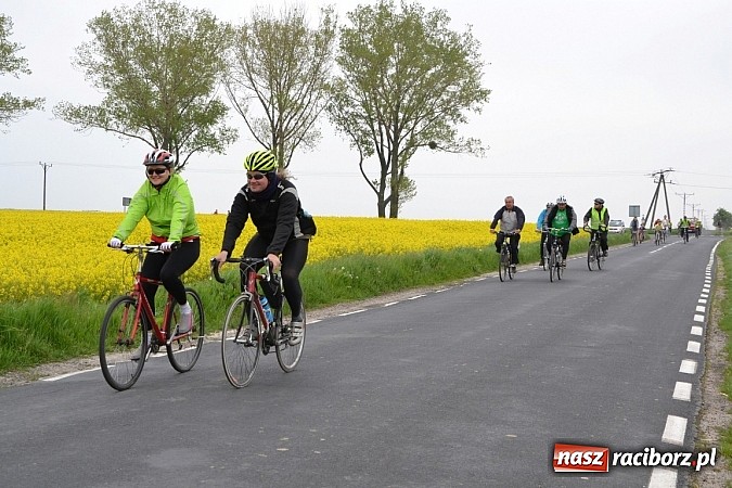Zdjęcie w galerii na portalu naszraciborz.pl: Rajd rowerowy dobrym pomysłem na majówkę wiadomości z regionu