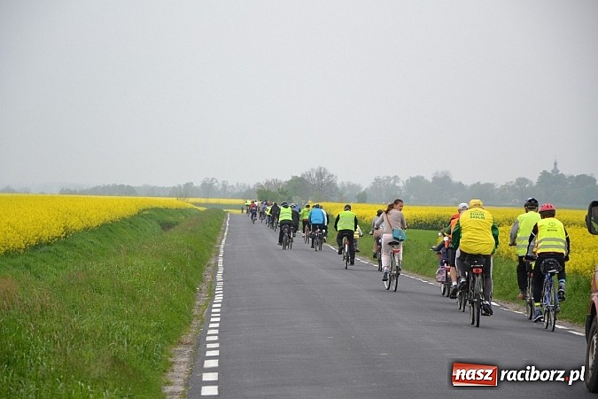 Zdjęcie w galerii na portalu naszraciborz.pl: Rajd rowerowy dobrym pomysłem na majówkę wiadomości z regionu