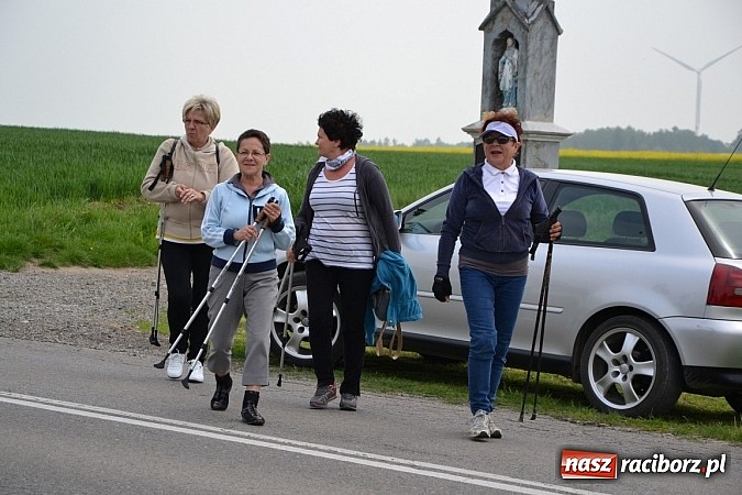 Zdjęcie w galerii na portalu naszraciborz.pl: Rajd rowerowy dobrym pomysłem na majówkę wiadomości z regionu