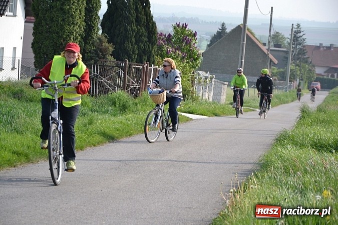 Zdjęcie w galerii na portalu naszraciborz.pl: Rajd rowerowy dobrym pomysłem na majówkę wiadomości z regionu