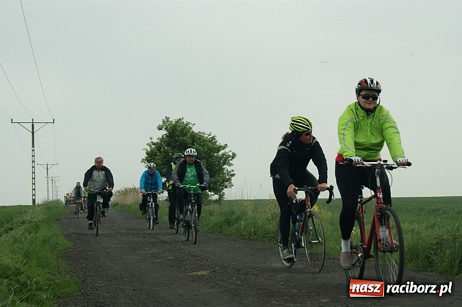 Zdjęcie w galerii na portalu naszraciborz.pl: Rajd rowerowy dobrym pomysłem na majówkę wiadomości z regionu