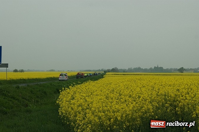 Zdjęcie w galerii na portalu naszraciborz.pl: Rajd rowerowy dobrym pomysłem na majówkę wiadomości z regionu