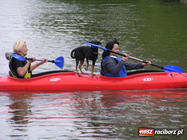 Zdjęcie w galerii na portalu naszraciborz.pl: Przystanek Turze, czyli Jak Oni Pływają! wiadomości z regionu