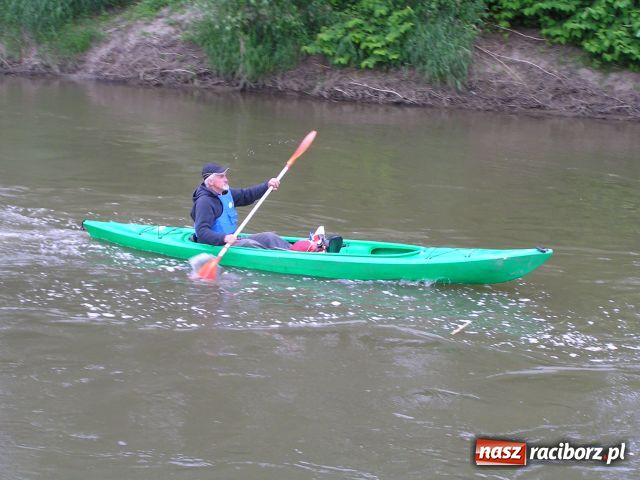 Zdjęcie w galerii na portalu naszraciborz.pl: Przystanek Turze, czyli Jak Oni Pływają! wiadomości z regionu