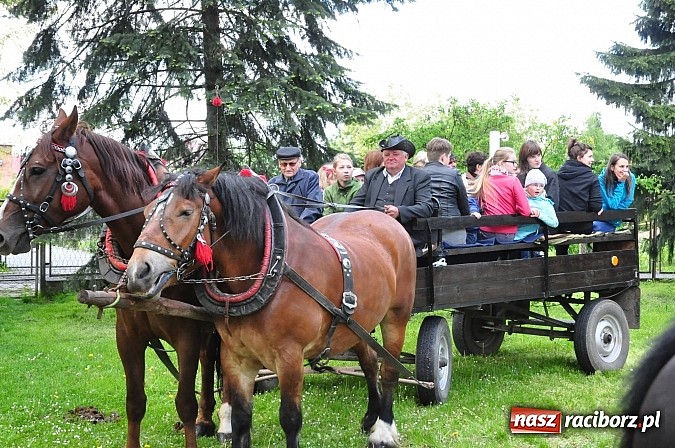 Zdjęcie w galerii na portalu naszraciborz.pl: W Pogrzebieniu 136. raz szli w procesji na św. Floriana. Prosili o ochronę przed gradem wiadomości z regionu