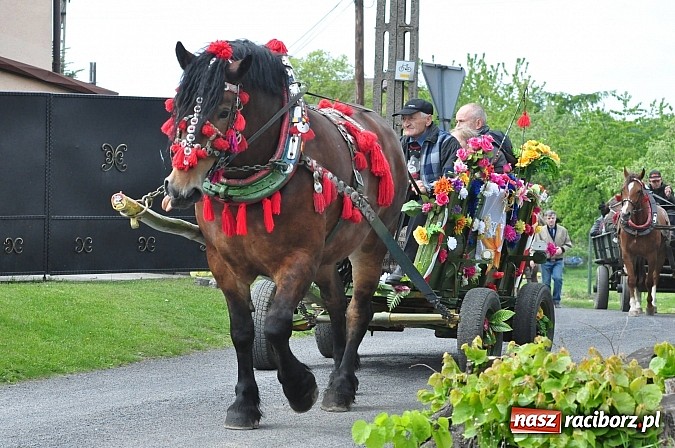 Zdjęcie w galerii na portalu naszraciborz.pl: W Pogrzebieniu 136. raz szli w procesji na św. Floriana. Prosili o ochronę przed gradem wiadomości z regionu