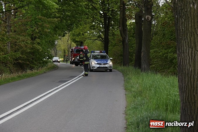Zdjęcie w galerii na portalu naszraciborz.pl: Audi uderzyło w drzewo. Dwie osoby w szpitalu wiadomości z regionu