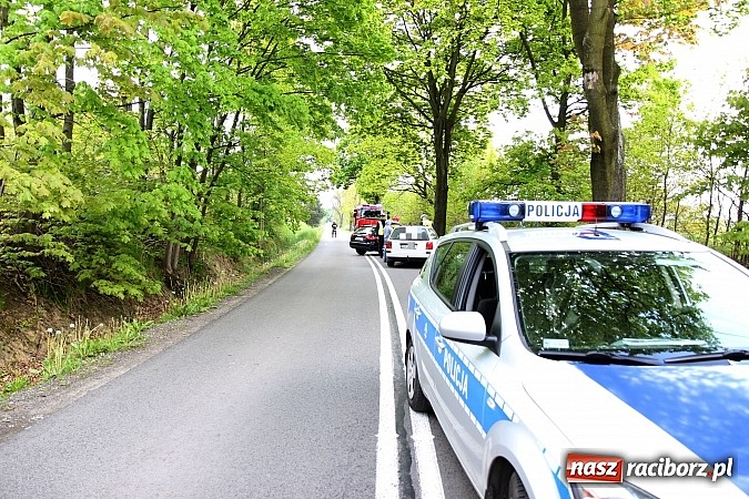 Zdjęcie w galerii na portalu naszraciborz.pl: Audi uderzyło w drzewo. Dwie osoby w szpitalu wiadomości z regionu