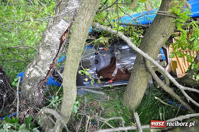 Zdjęcie w galerii na portalu naszraciborz.pl: Szybowiec z Rybnika rozbił się w Szymocicach. Pilot przeżył. Sam przyszedł na policję wiadomości z regionu